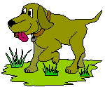 green dog