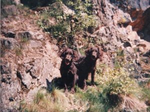 Jessica und Jamaika 87-450