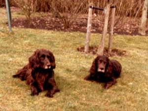 Gabi und Larry